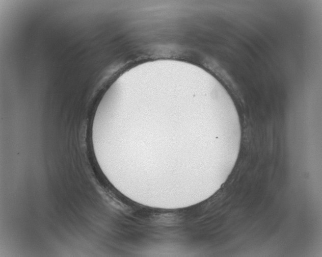 X0000063520058200602172226