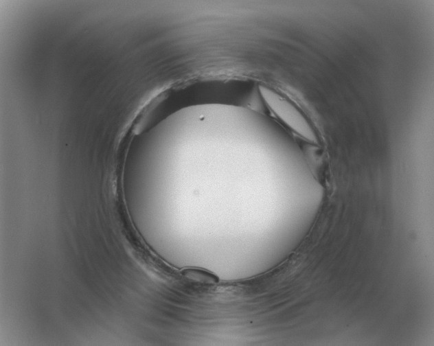 X0000063520060200602172226