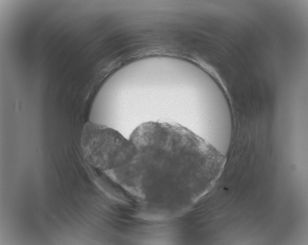 X0000063520061200602172226