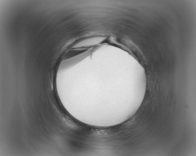 X0000063520062200602172226