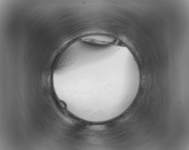 X0000063520063200602172226