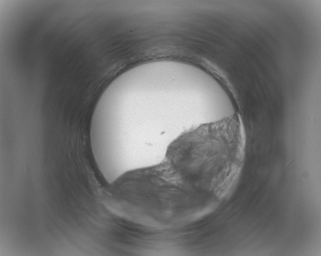 X0000063520065200602172226