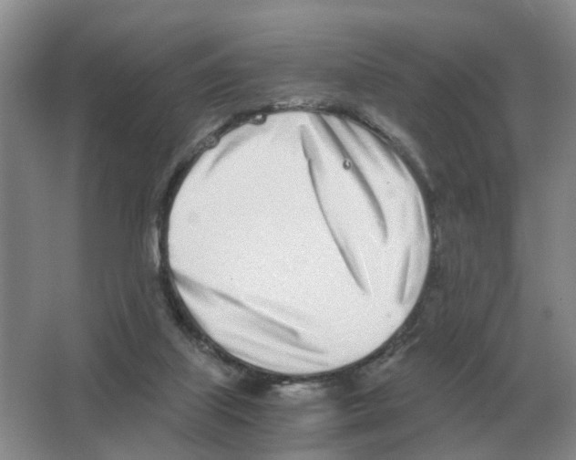 X0000063520067200602172226