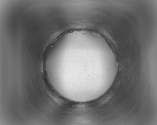 X0000063520068200602172226