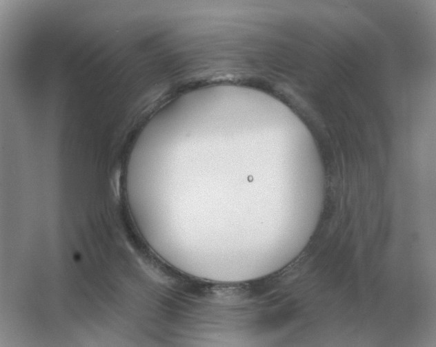 X0000063520070200602172226