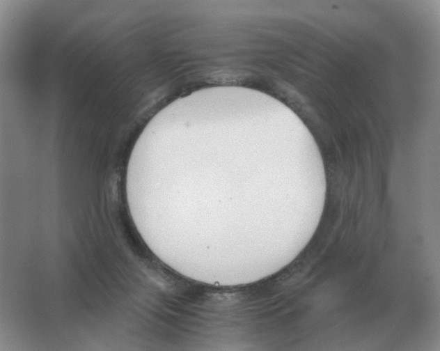 X0000063520071200602172226