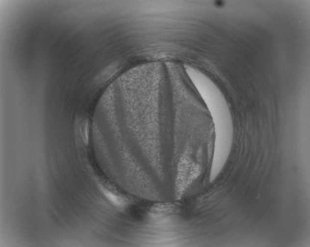 X0000063520076200602172226