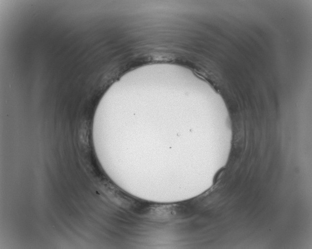 X0000063520078200602172226