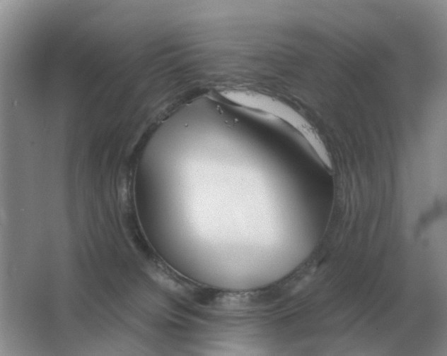 X0000063520084200602172226