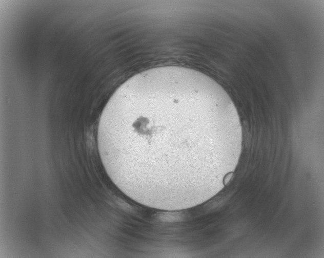 X0000063520085200602172226