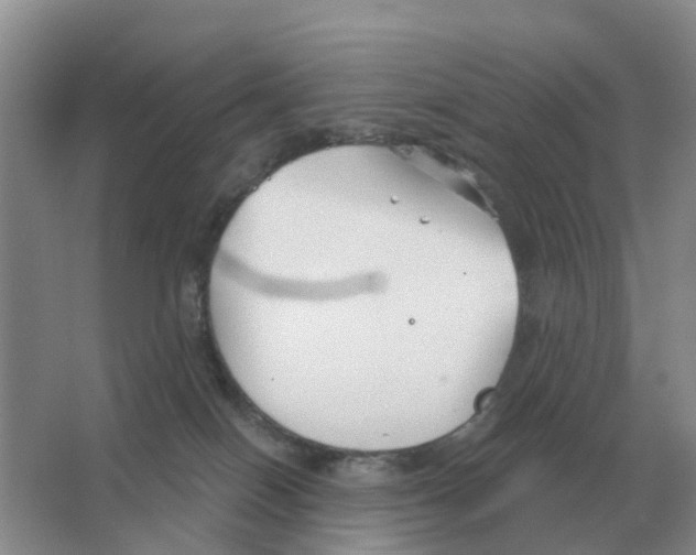 X0000063520086200602172226