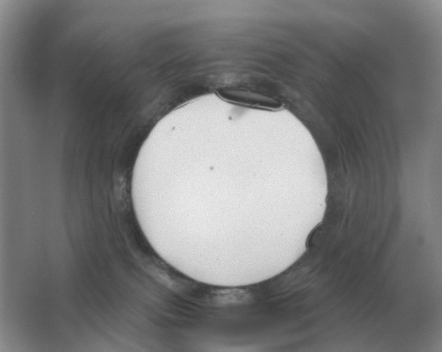 X0000063520087200602172226