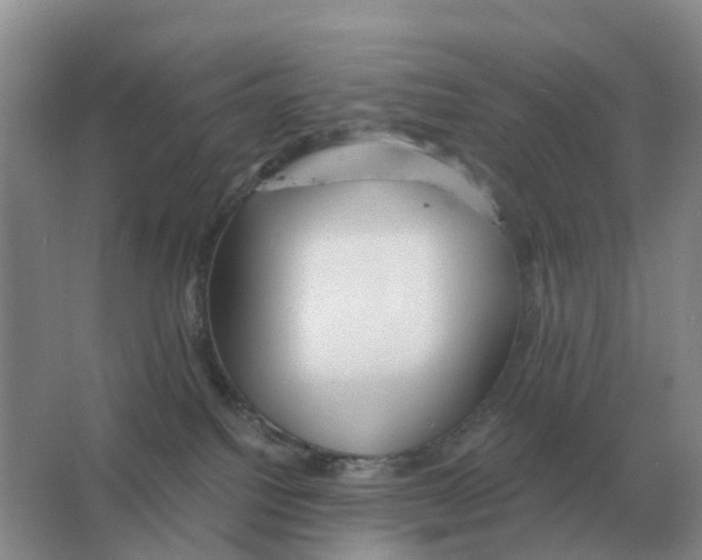 X0000063520088200602172226