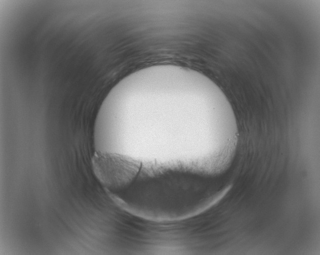 X0000063520089200602172226