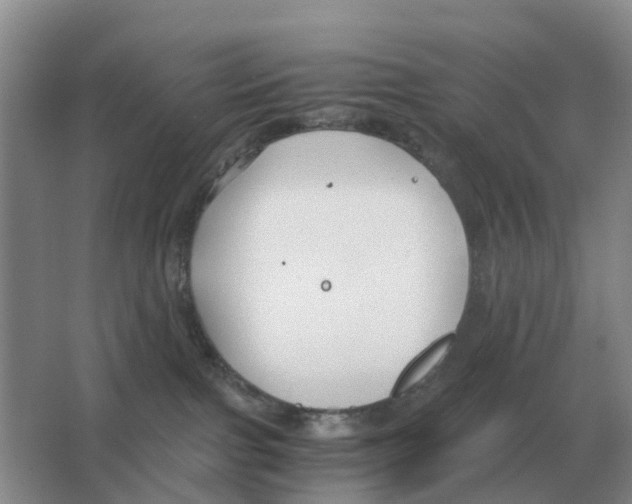 X0000063520091200602172226