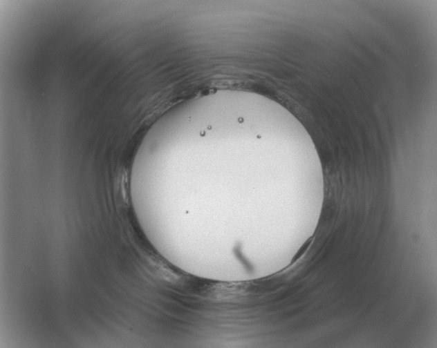 X0000063520094200602172226