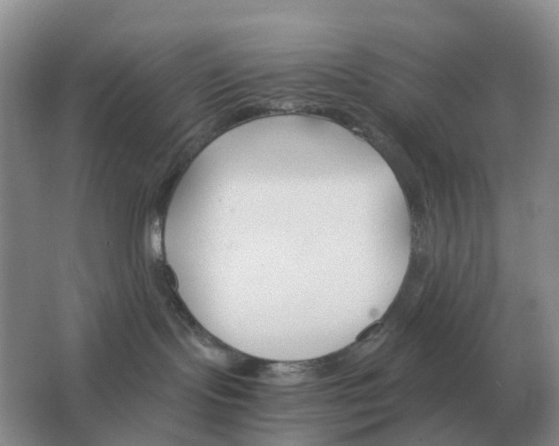 X0000063520095200602172226