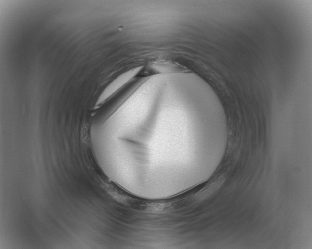 X0000063520096200602172226