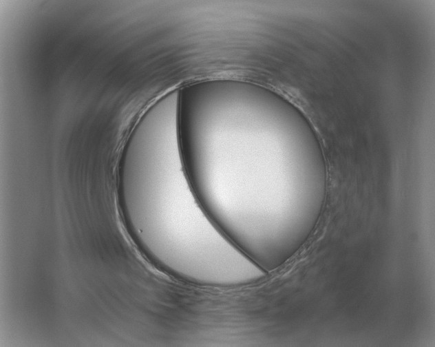 X0000063520097200602172225