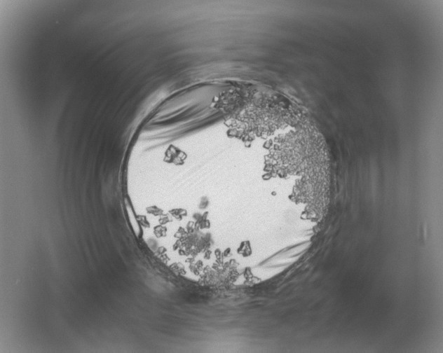 X0000063520099200602172225