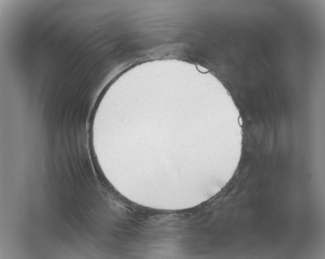 X0000063520100200602172225