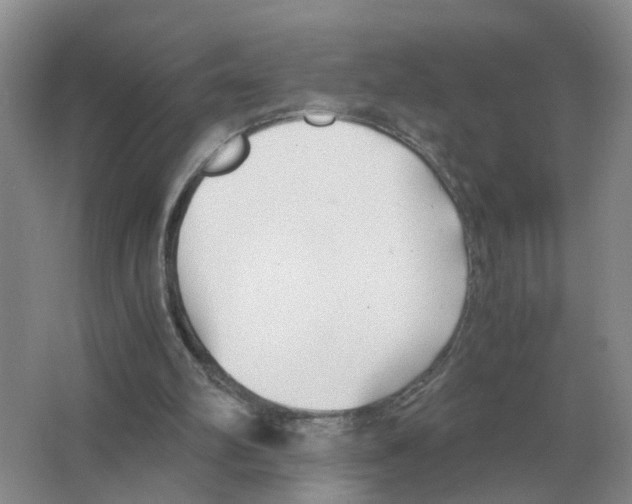 X0000063520102200602172225