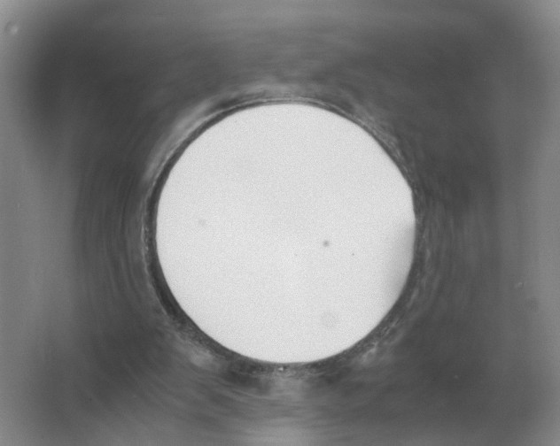 X0000063520103200602172225