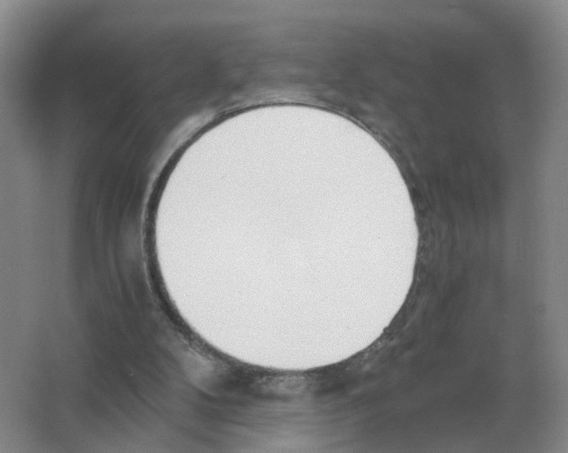 X0000063520104200602172225