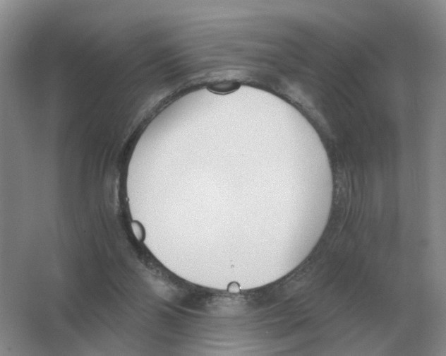 X0000063520110200602172225