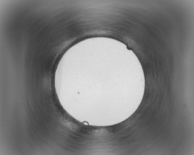 X0000063520112200602172225