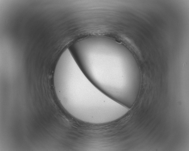 X0000063520113200602172225