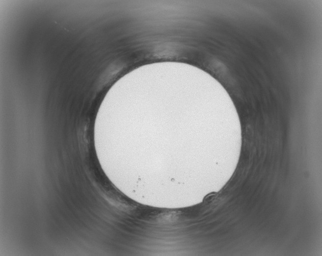 X0000063520116200602172225