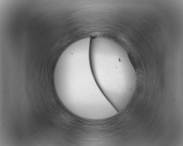 X0000063520125200602172225