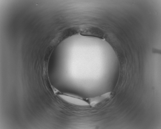 X0000063520129200602172225