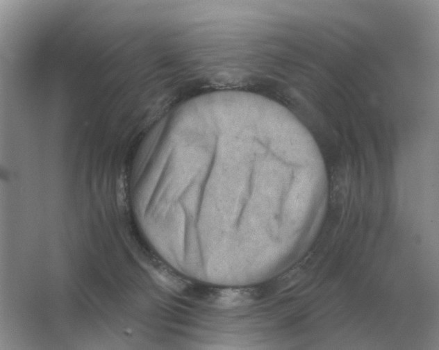 X0000063520130200602172225