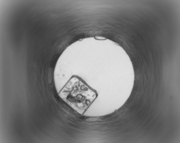 X0000063520133200602172225