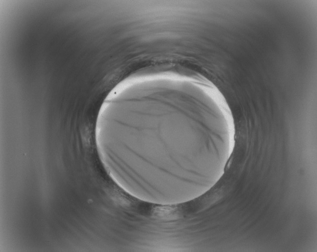 X0000063520139200602172225