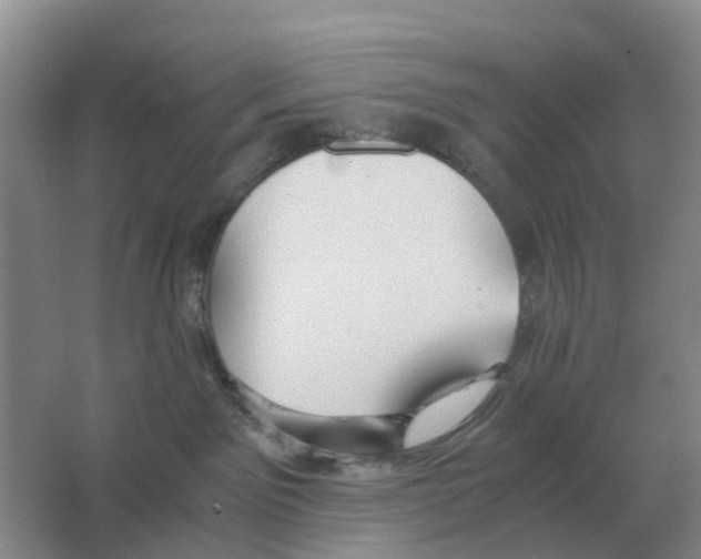 X0000063520141200602172225