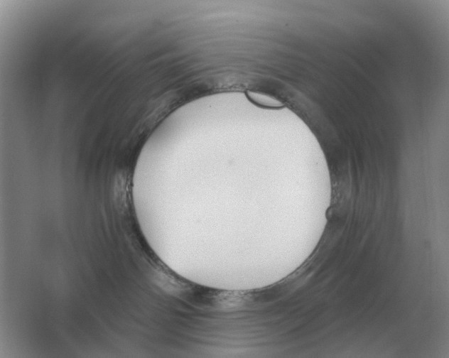 X0000063520142200602172225