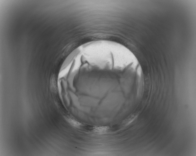 X0000063520143200602172225