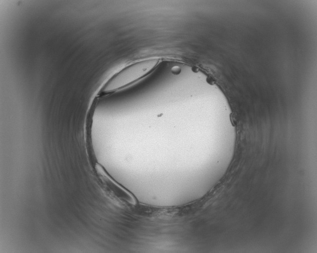 X0000063520148200602172224