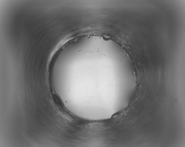 X0000063520150200602172224