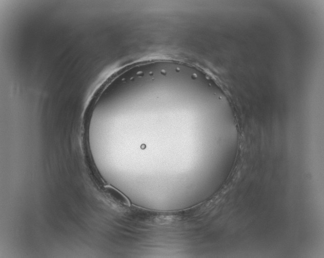 X0000063520152200602172224