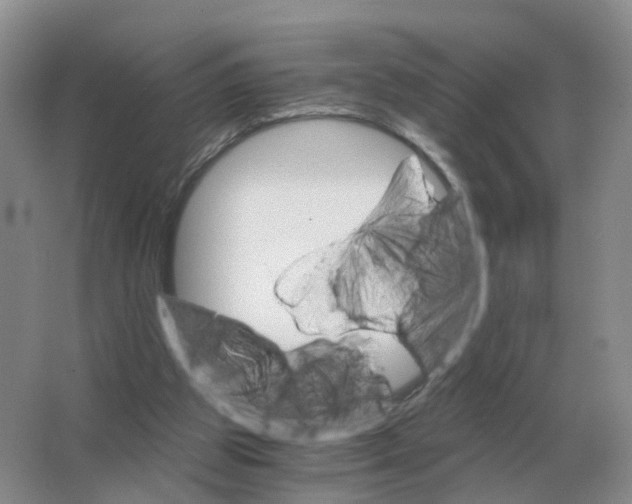 X0000063520153200602172224