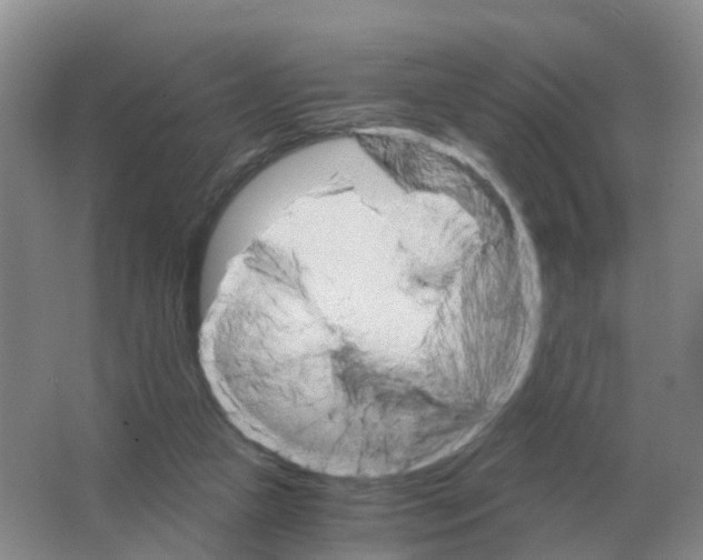 X0000063520161200602172224