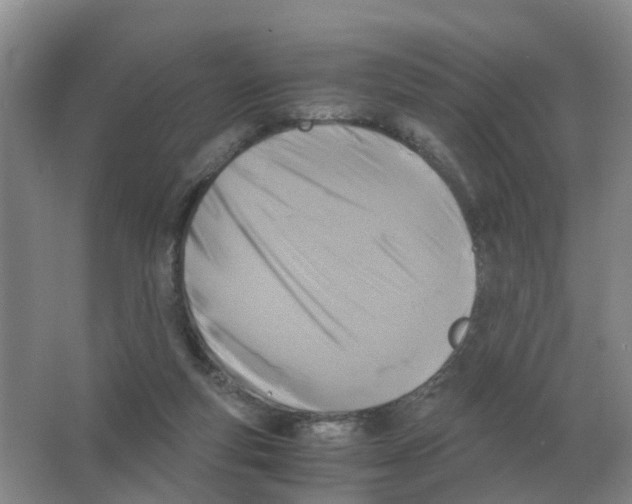 X0000063520163200602172224