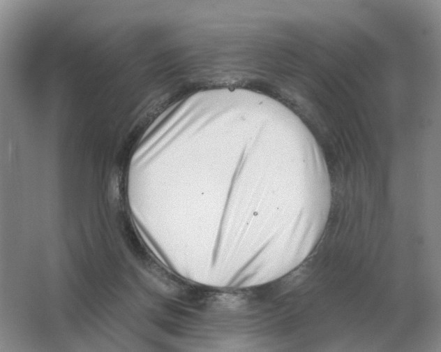 X0000063520166200602172224