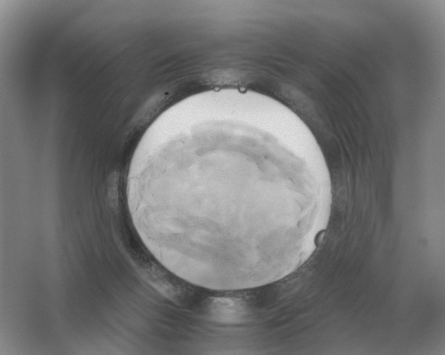 X0000063520167200602172224