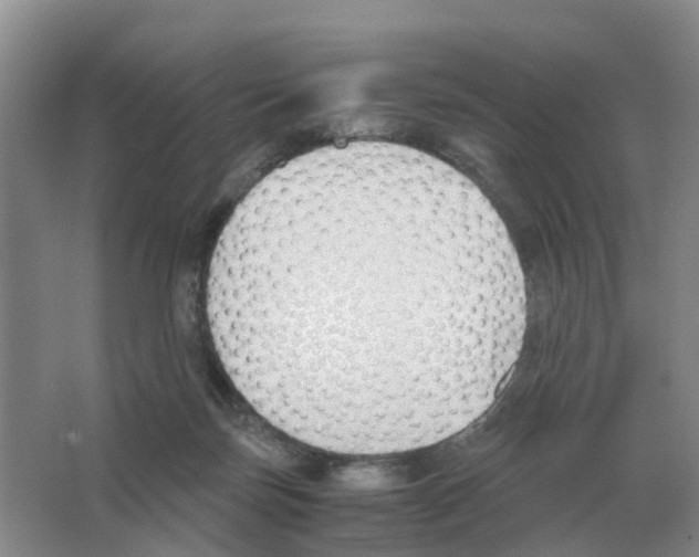 X0000063520171200602172224