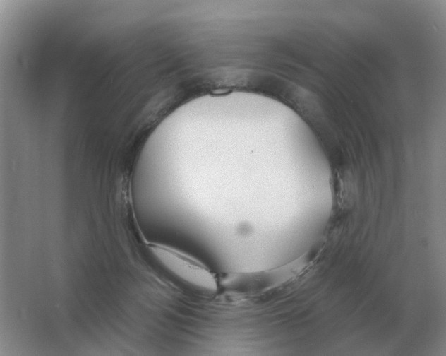 X0000063520172200602172224